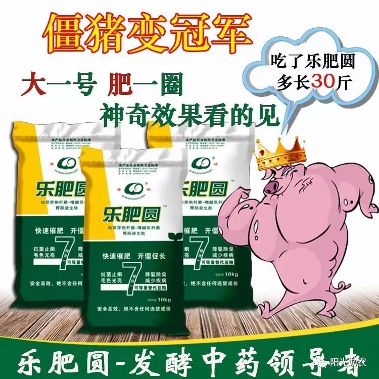 養豬賺大錢，就用樂肥圓!