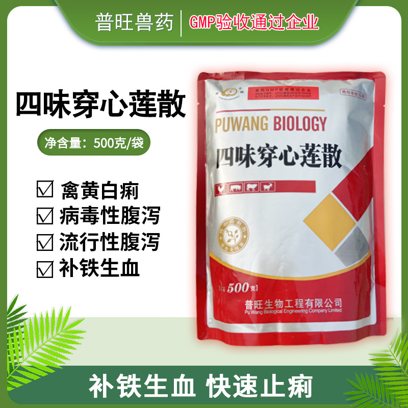 四味穿心蓮散 補鐵生血快速止痢 獸用