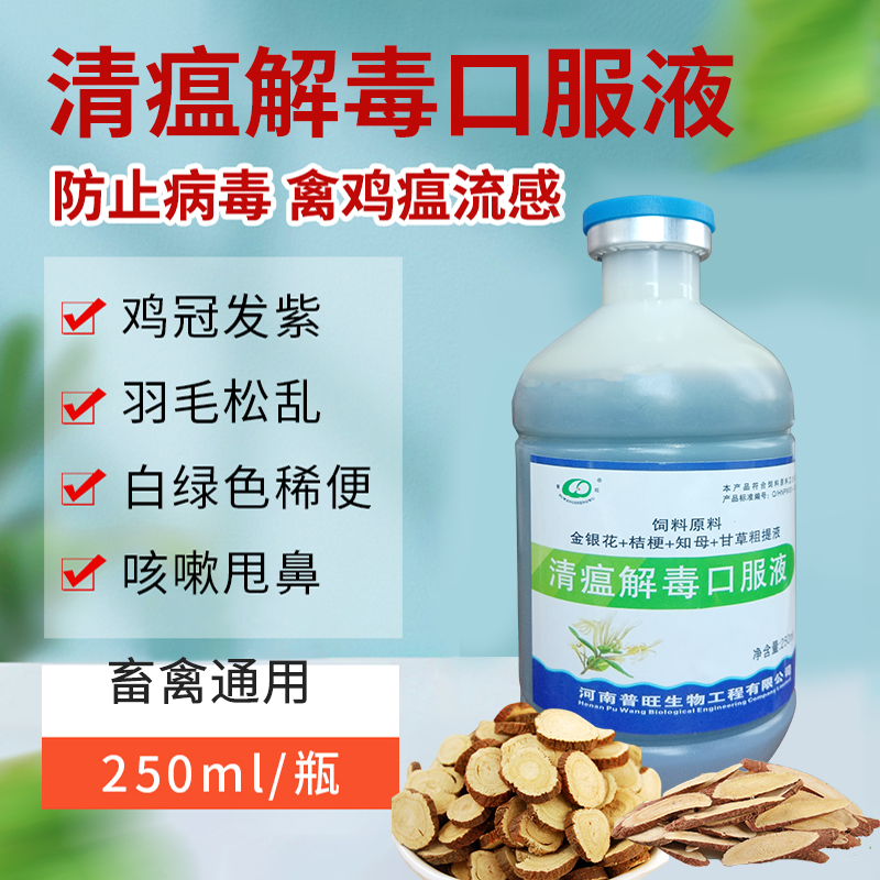清瘟解毒口服液 禽用抗病毒 廠家直銷