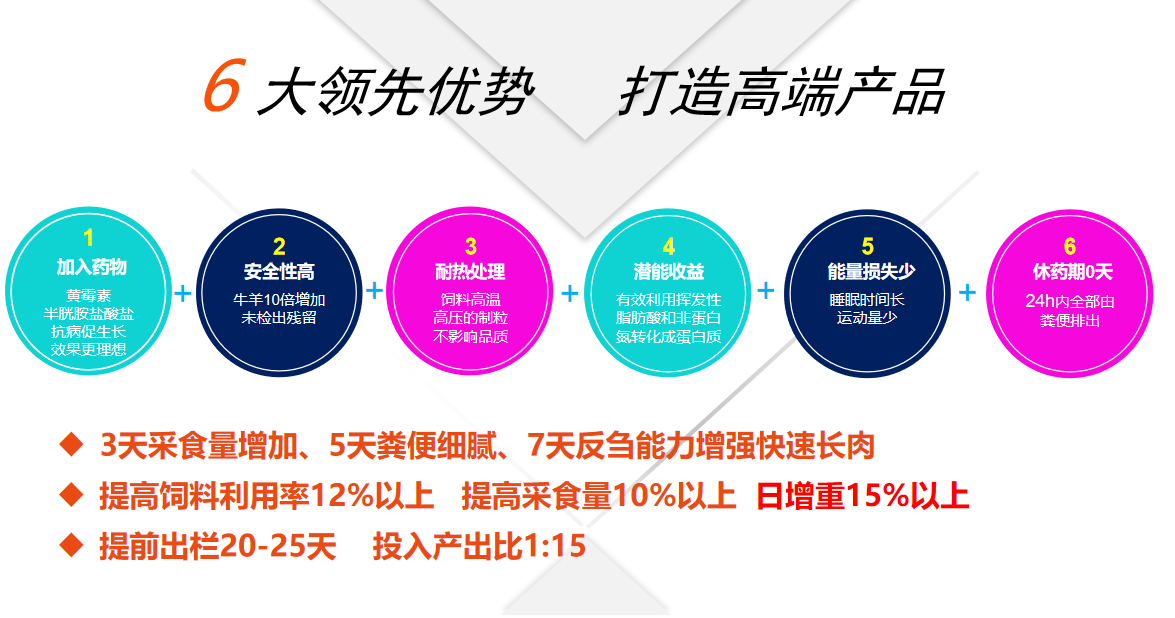 牛羊養(yǎng)殖技術3