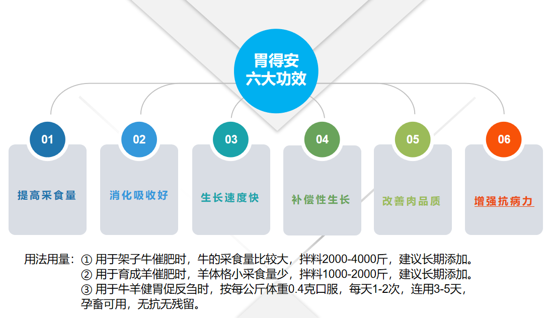 牛羊養(yǎng)殖技術
