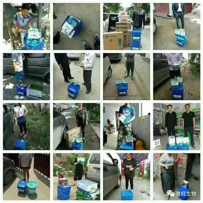 普旺獸藥廠家產品銷往全國各地的養殖場客戶見證