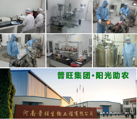 普旺獸藥企業工廠