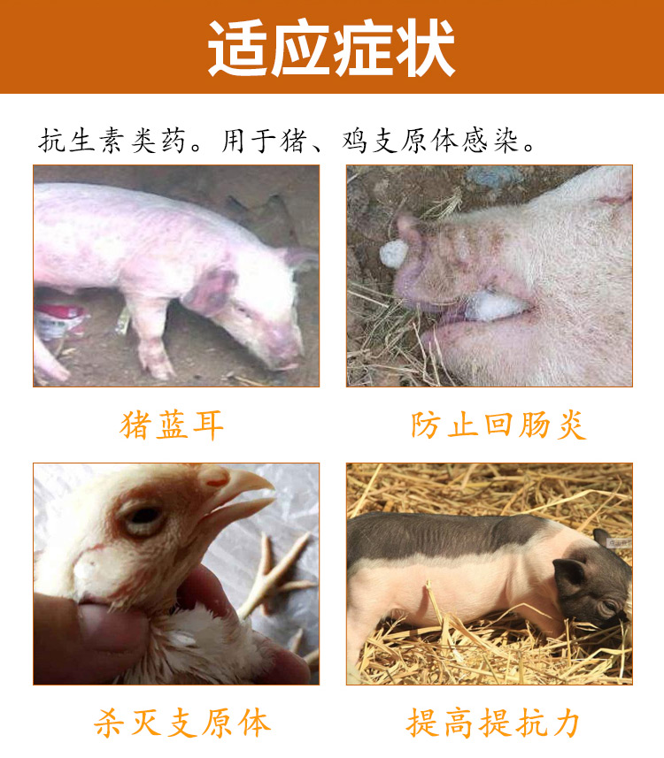 5% 酒石酸泰萬(wàn)菌素 獸藥批發(fā)直銷