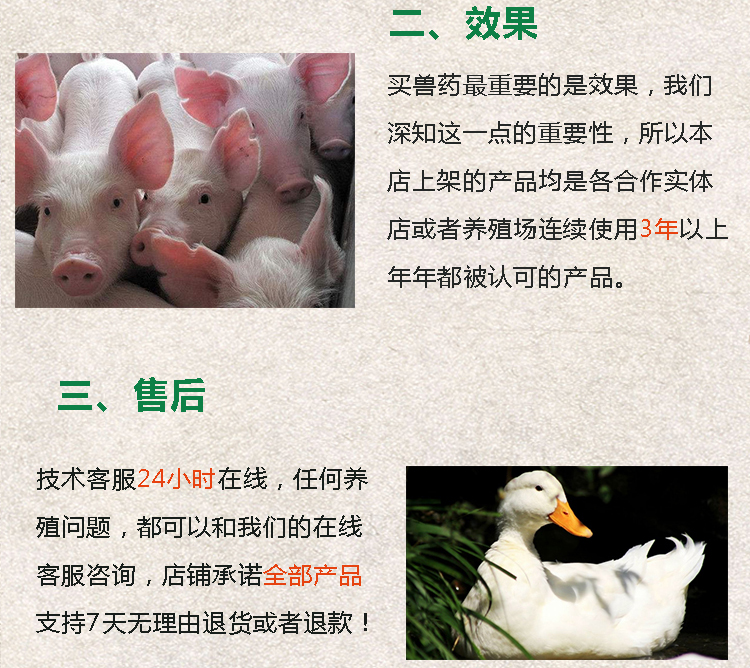 板藍(lán)根注射液