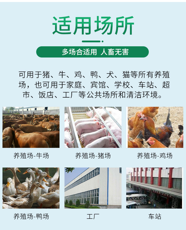 殺蟲餌粒（絕影）3